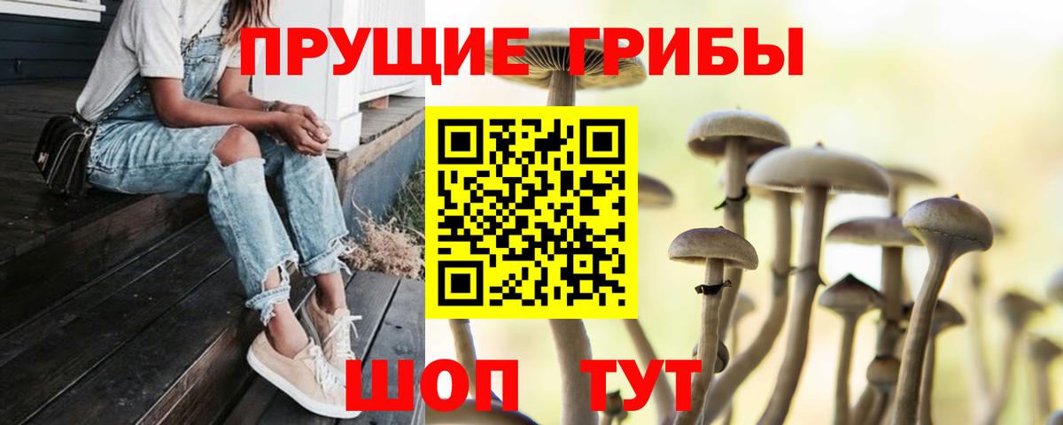 Псилоцибиновые грибы ЛСД Бирск